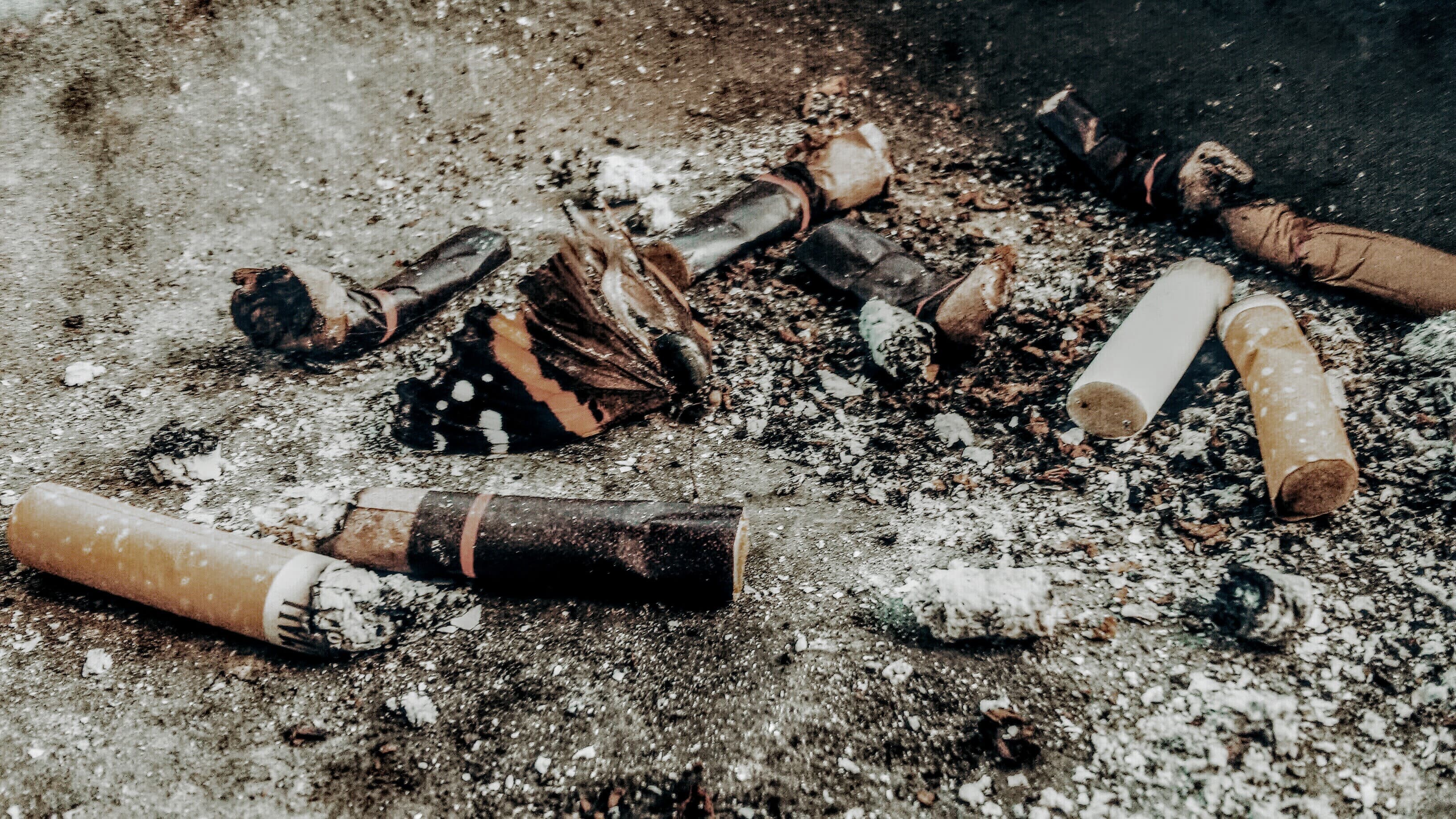 Should you work with companies that conflict with your values?