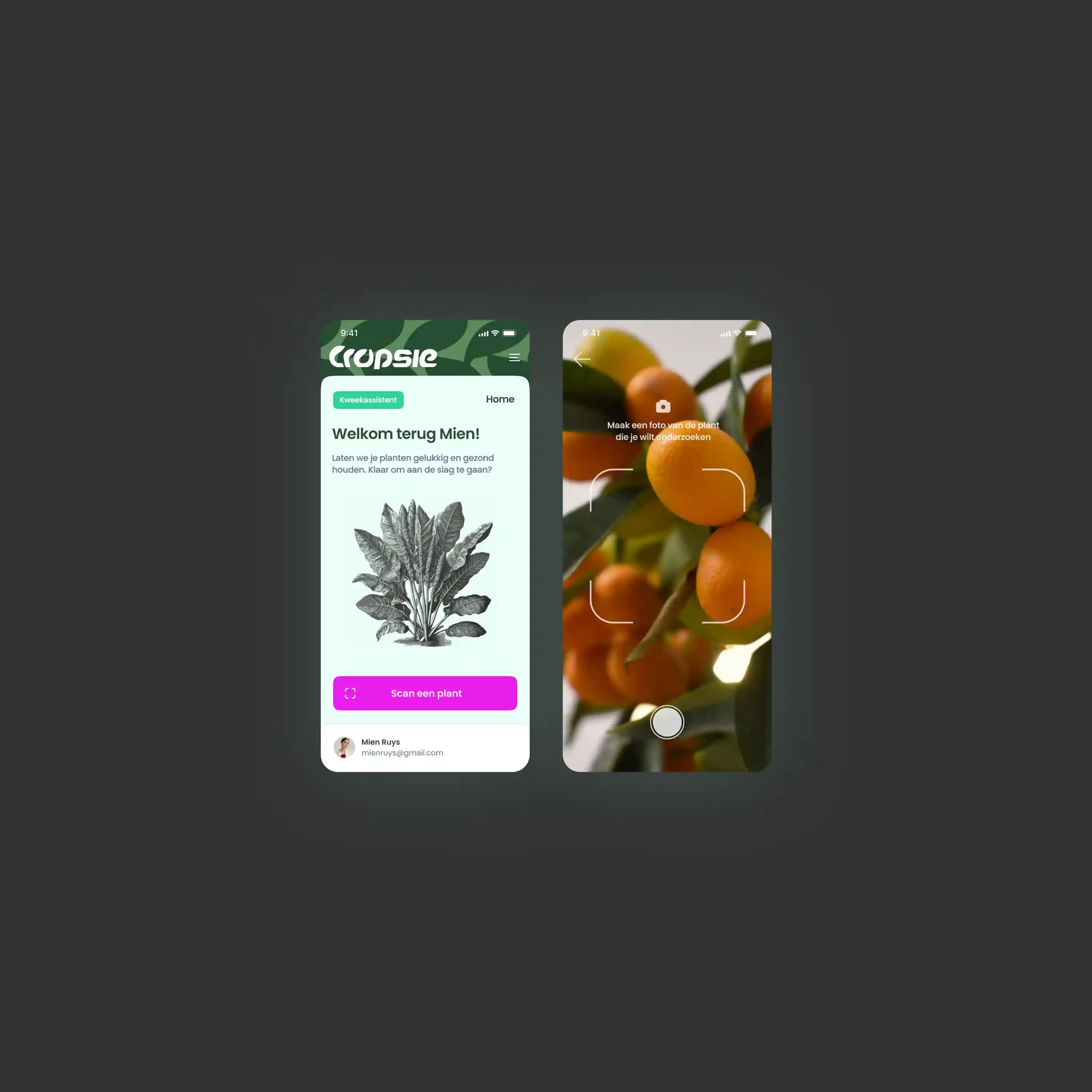 Cropsie Rebranding